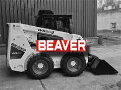 Beaver