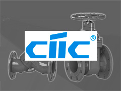 CIIC valve technology