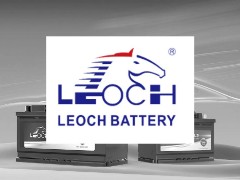 Leoch