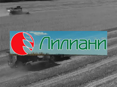 горячая линия Liliani