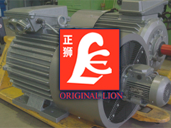 Fujian Lion Motor