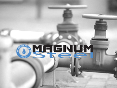 Magnum Steel