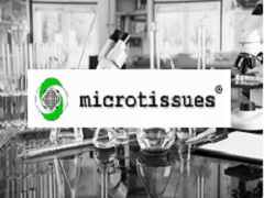 горячая линия MicroTissues
