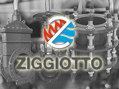 Brand ZIGGIOTTO in the NT LLC line of products