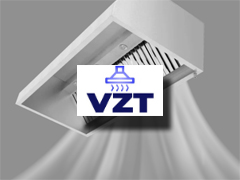 VZT